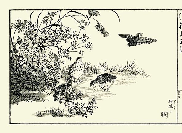 photo26.jpg