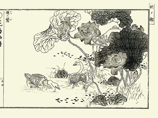 photo17.jpg