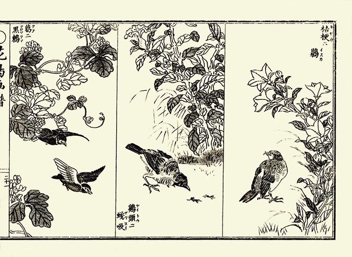 photo21.jpg