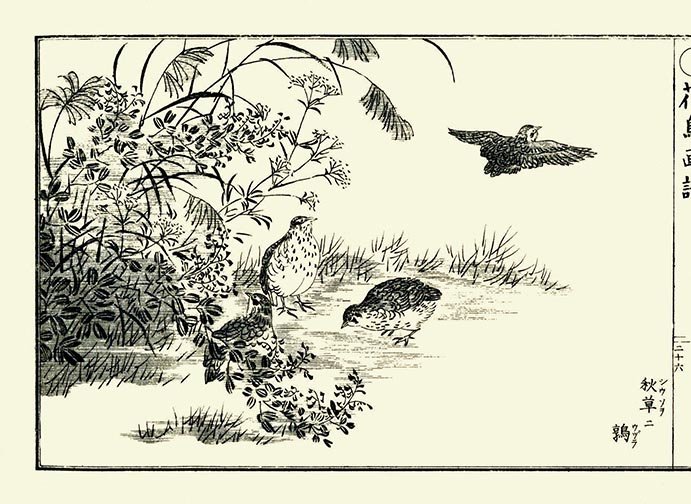 photo26.jpg