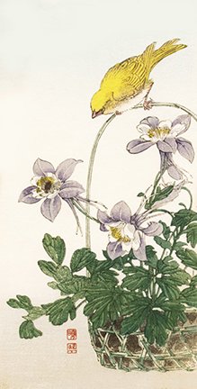 photo5.jpg