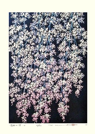 photo24.jpg
