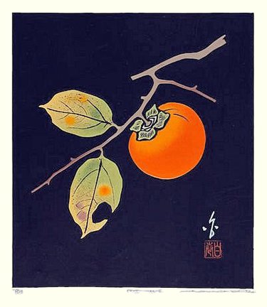 photo3.jpg
