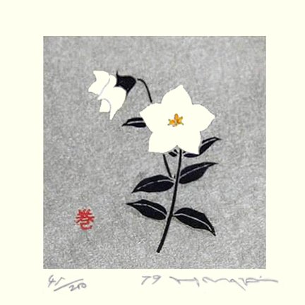 photo8.jpg
