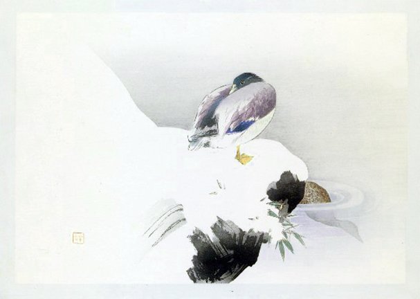 photo3.jpg