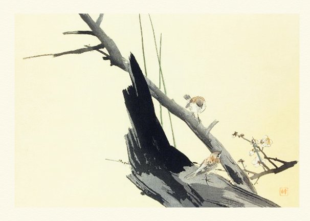 photo7.jpg