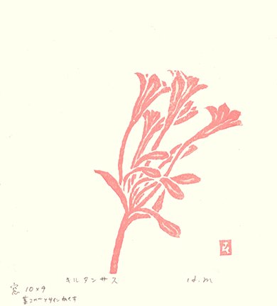 photo.jpg