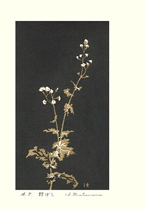 photo4.jpg