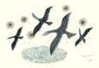 photo10_small.jpg
