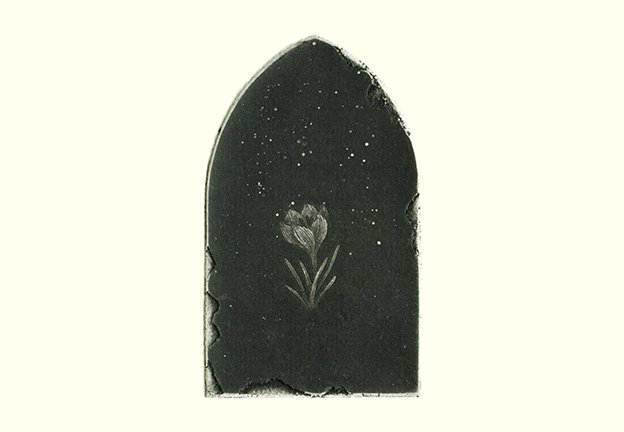 photo9.jpg