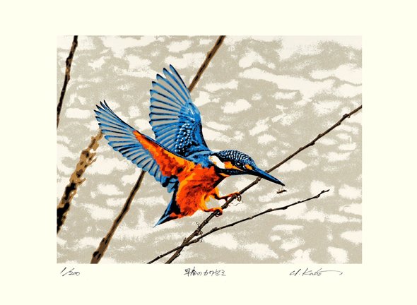 photo22.jpg