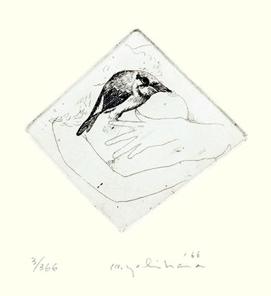 photo20.jpg