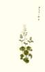 photo38_small.jpg