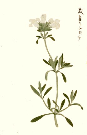 photo39.jpg