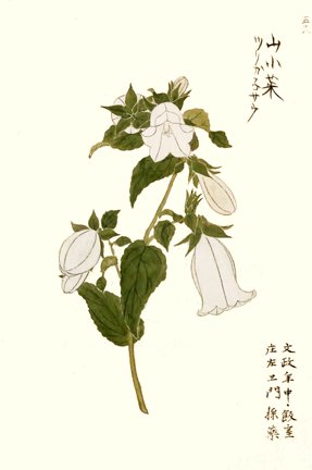 photo50.jpg