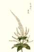 photo75_small.jpg