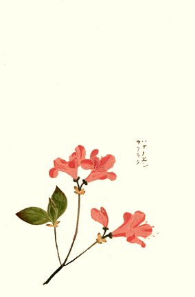 photo11.jpg