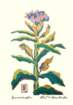 photo21_small.jpg