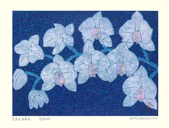 photo27.jpg
