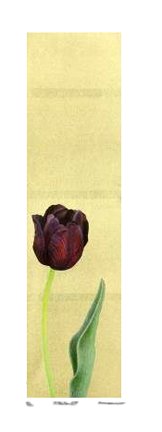 photo24.jpg