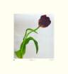 photo7_small.jpg
