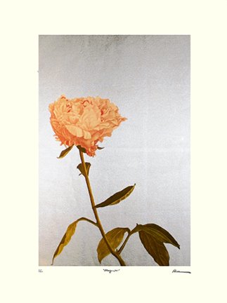 photo5.jpg