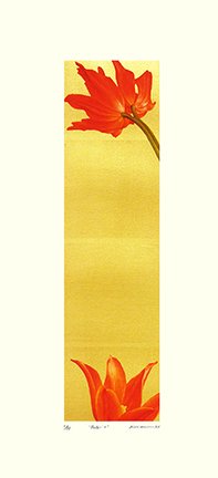 photo7.jpg