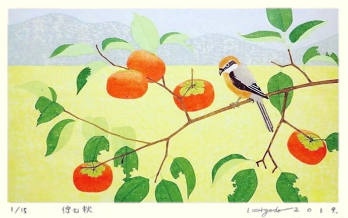 photo14.jpg