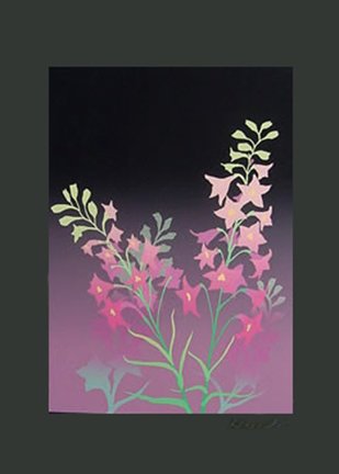 photo7.jpg