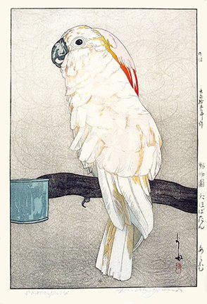 photo4.jpg