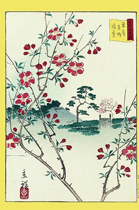 photo26.jpg