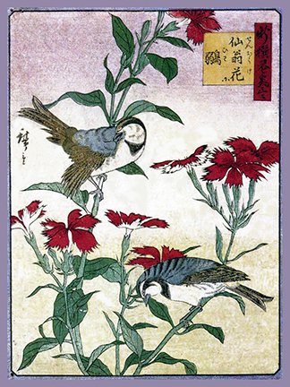 photo10.jpg
