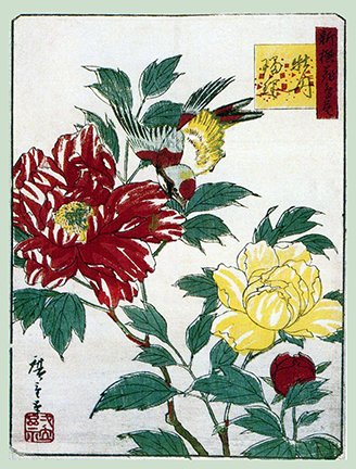 photo15.jpg
