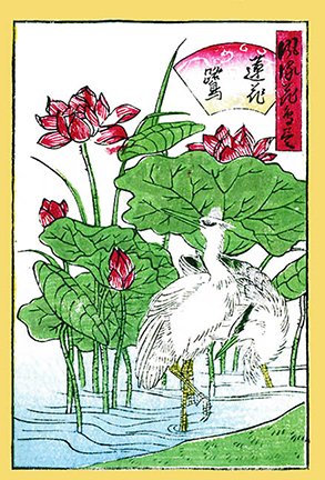 photo19.jpg