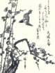 photo151_small.jpg