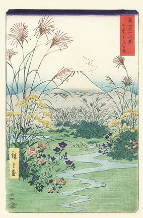 photo16.jpg