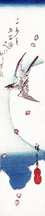 photo162.jpg