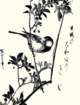 photo180_small.jpg
