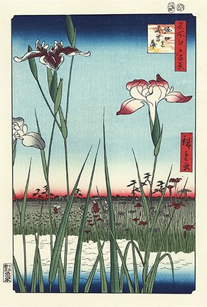 photo29.jpg