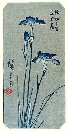 photo31.jpg