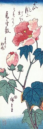 photo37.jpg