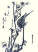 photo434_small.jpg