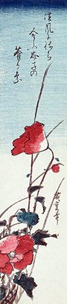 photo47.jpg