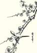 photo475_small.jpg