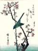 photo480_small.jpg