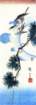photo549_small.jpg