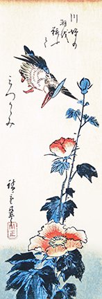photo75.jpg
