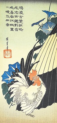 photo16.jpg