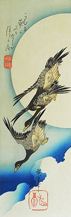 photo20.jpg