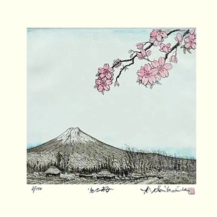 photo25.jpg